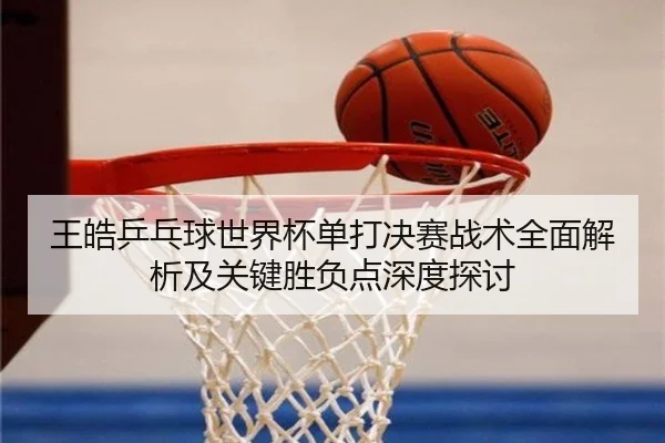 王皓乒乓球世界杯单打决赛战术全面解析及关键胜负点深度探讨